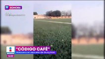 Balacera en Guaymas, Sonora, sorprenden a estudiantes en plena cancha