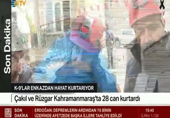 Mansur Yavaş: Kurtarma ekibimizin patili kahramanları Çakıl ve Rüzgar bugüne dek 28 canımızı kurtardı