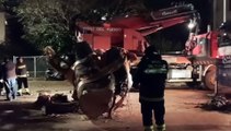Maltempo a Palermo, altri alberi crollati e danni alle auto