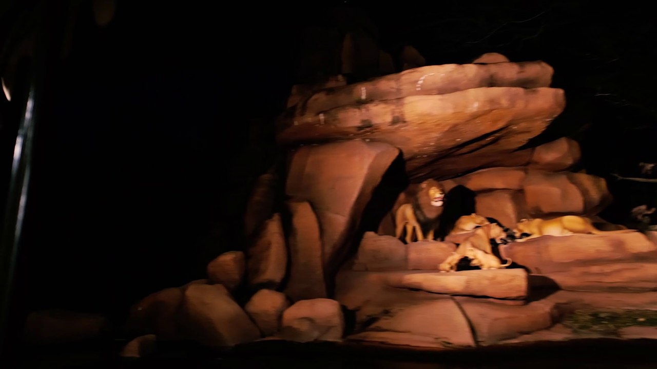 The Jungle Cruise Dark Ride POV Video (Walt Disney World - Orlando, Florida) - Classic Disney Attraction / Boat Ride