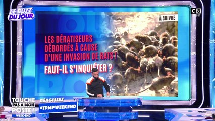 Les dératiseurs débordés à cause d'une invasion de rats !