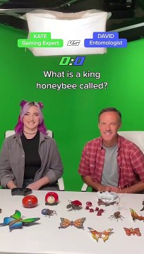 Does a Grounded Gamer know more than an Entomologist?