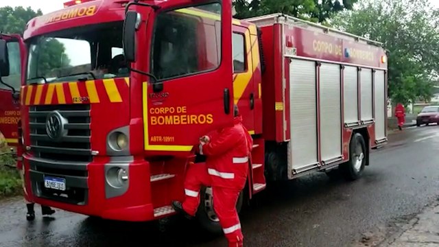 Corpo de Bombeiros é mobilizado para poda de árvore no Esmeralda