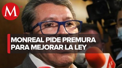 Ley de Protección del Espacio Aéreo requiere modificaciones para mejorarla, señala Monreal