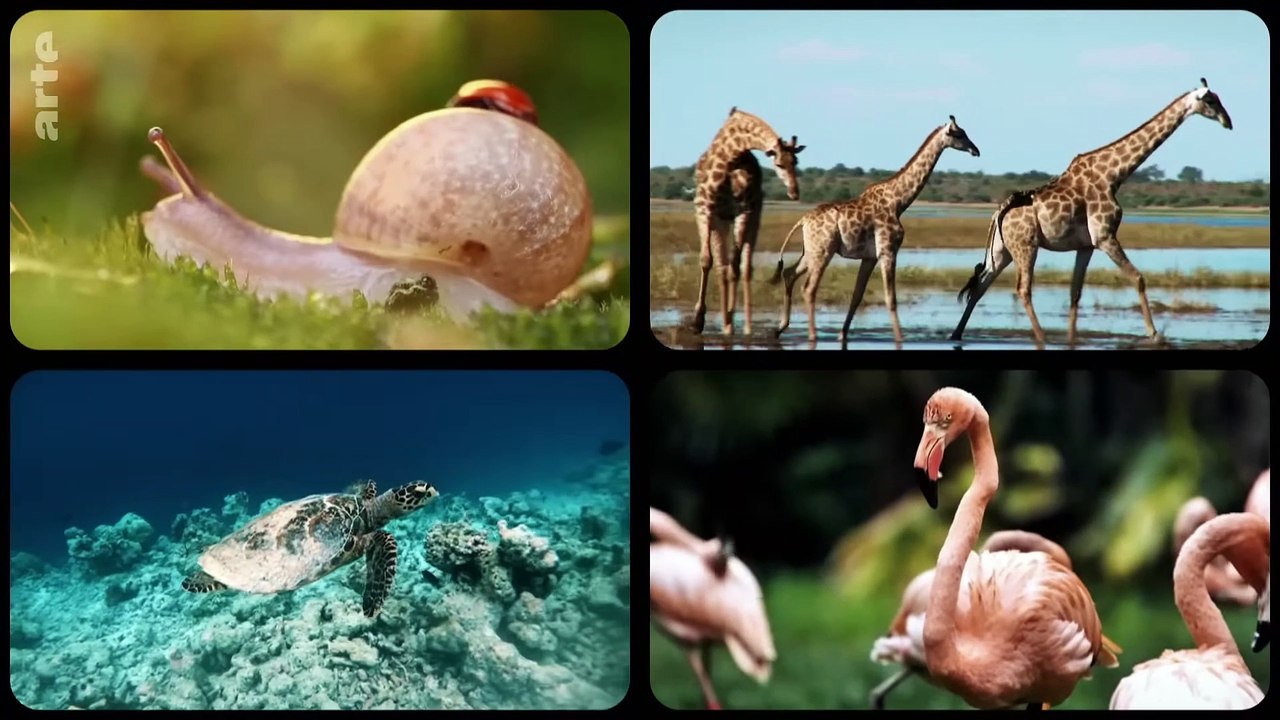 Wird es eine neue _Spezies Mensch_ geben_  _ 42 - Die Antwort auf fast alles