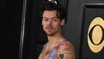 Harry Styles: Bald in DIESER beliebten Serie dabei?