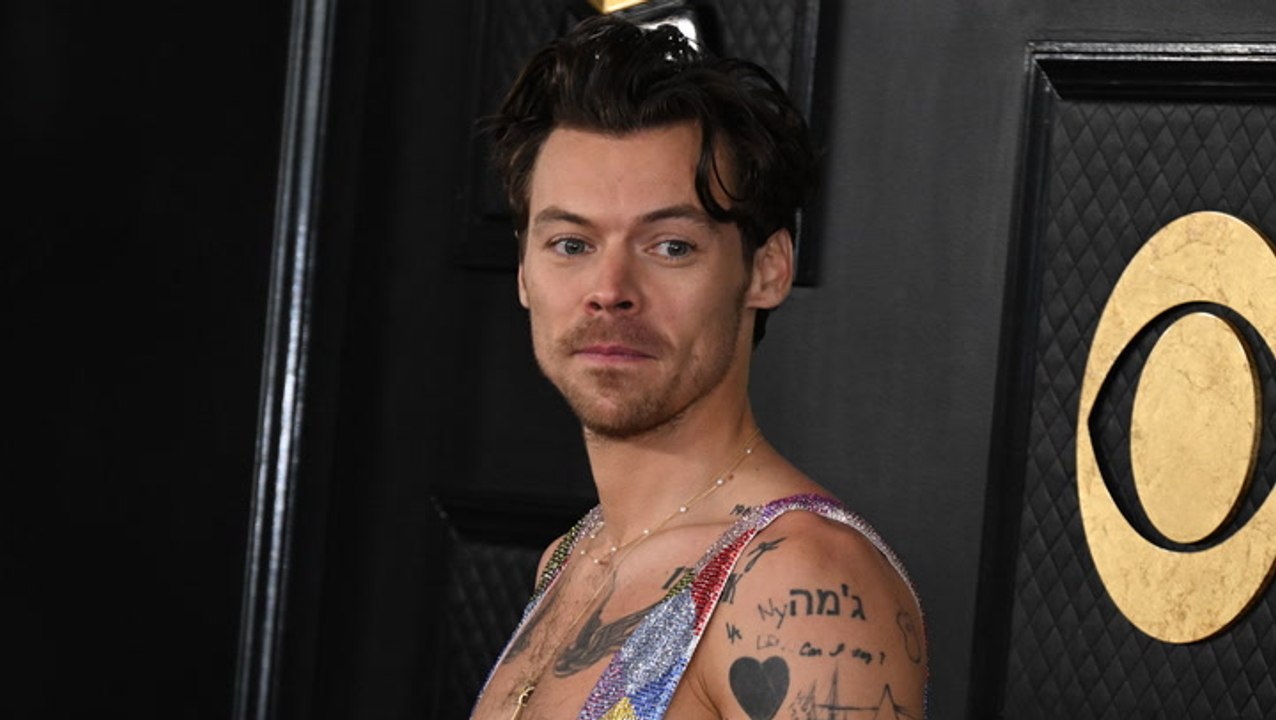 Harry Styles: Bald in DIESER beliebten Serie dabei?