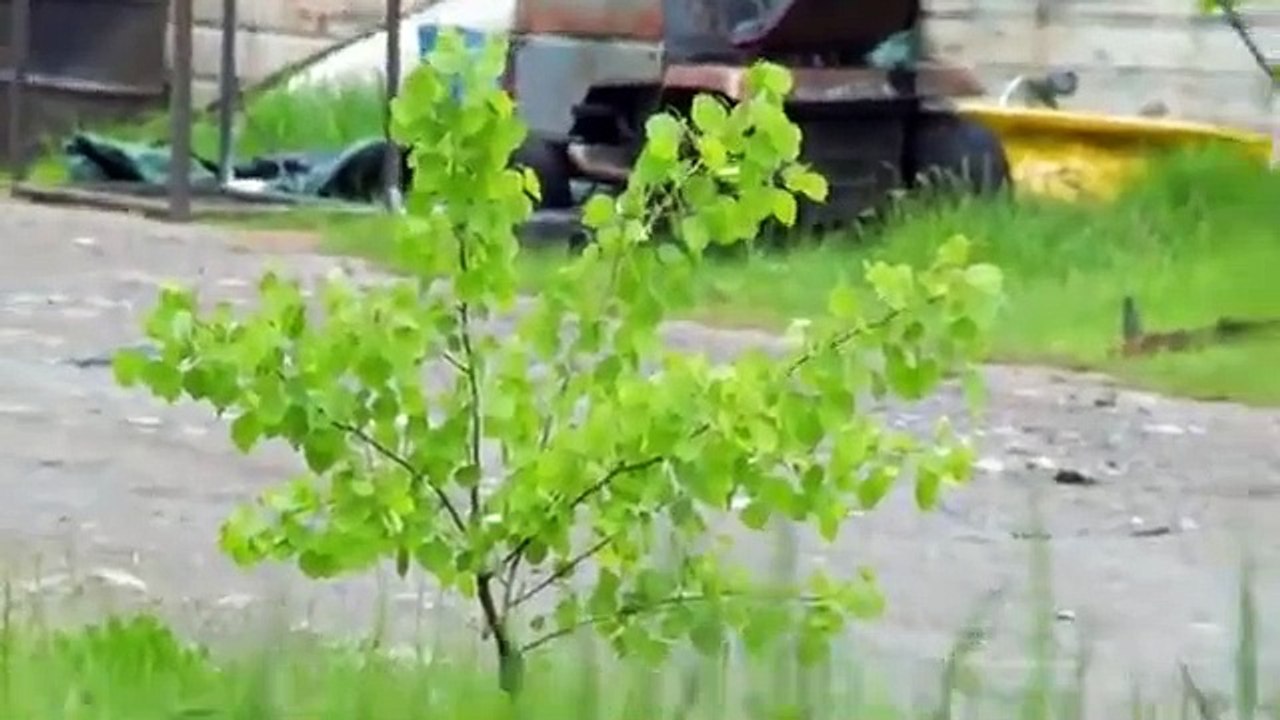 North Woods Law - Se9 - Ep04 HD Watch