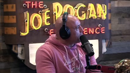 The Real Story Behind Cocaine Bear and PCP Fueled Feats of Strength