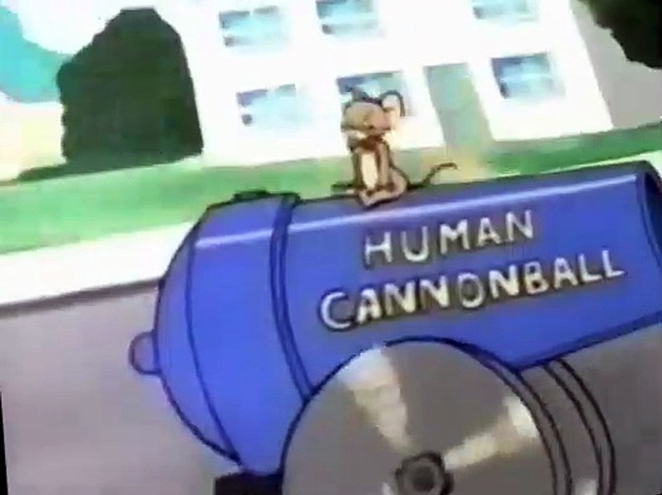 The New Tom and Jerry Show E010 - Safe But Not Sorry