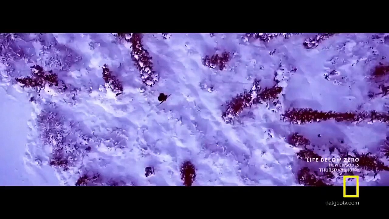 Life Below Zero - Se9 - Ep04 - Burn the Midnight Oil HD Watch