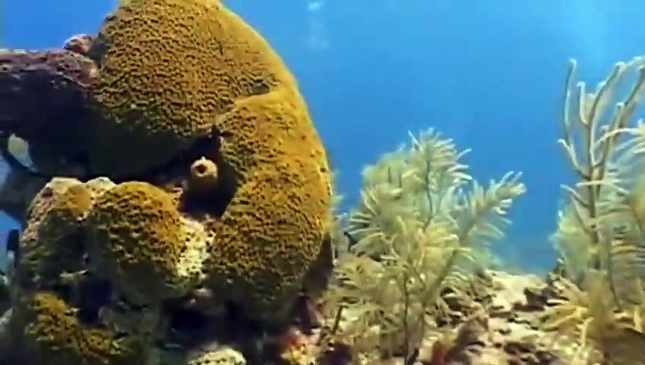 Mighty Machines - Se1 - Ep30 HD Watch