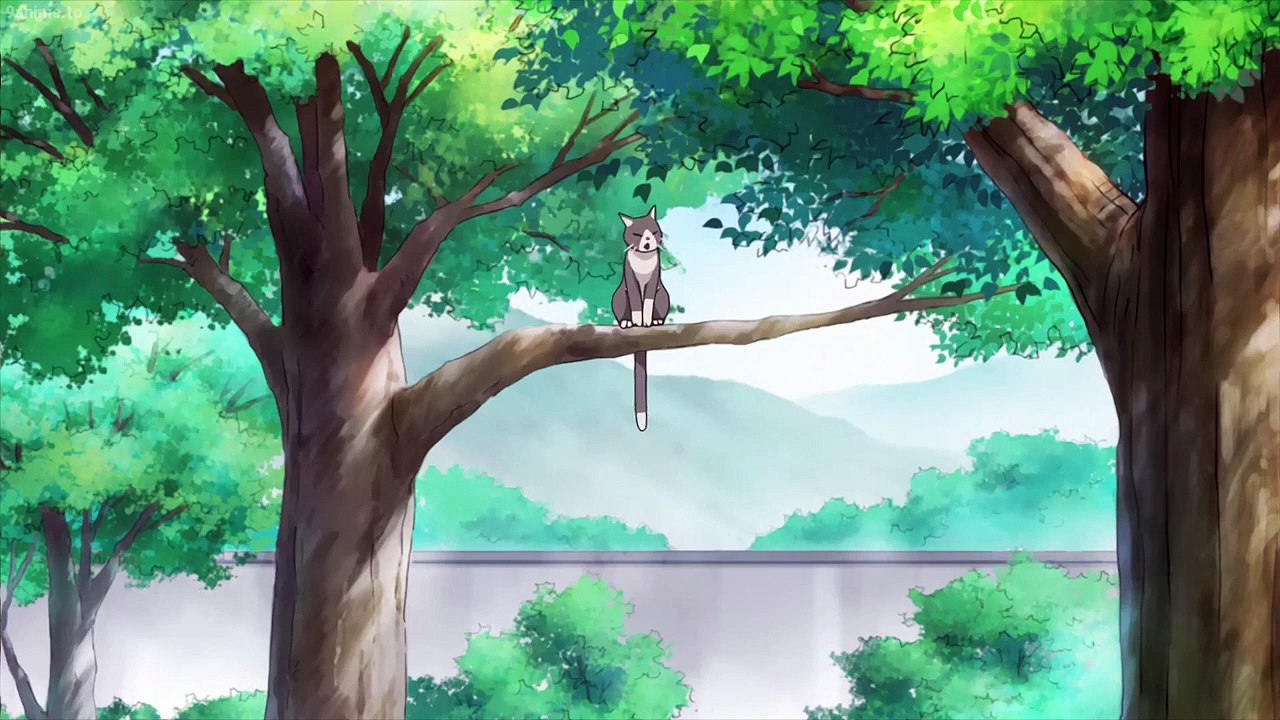 The Morose Mononokean - Se1 - Ep09 - The Marked Difference HD Watch