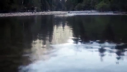 The Man In The High Castle - Se1 - Ep10 HD Watch