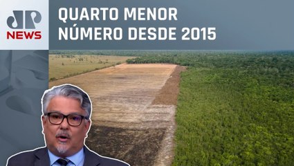 Alertas de desmatamento na Amazônia caem 61% em janeiro; Suano comenta