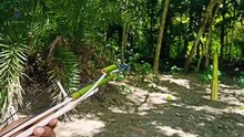 How to make Crossbow