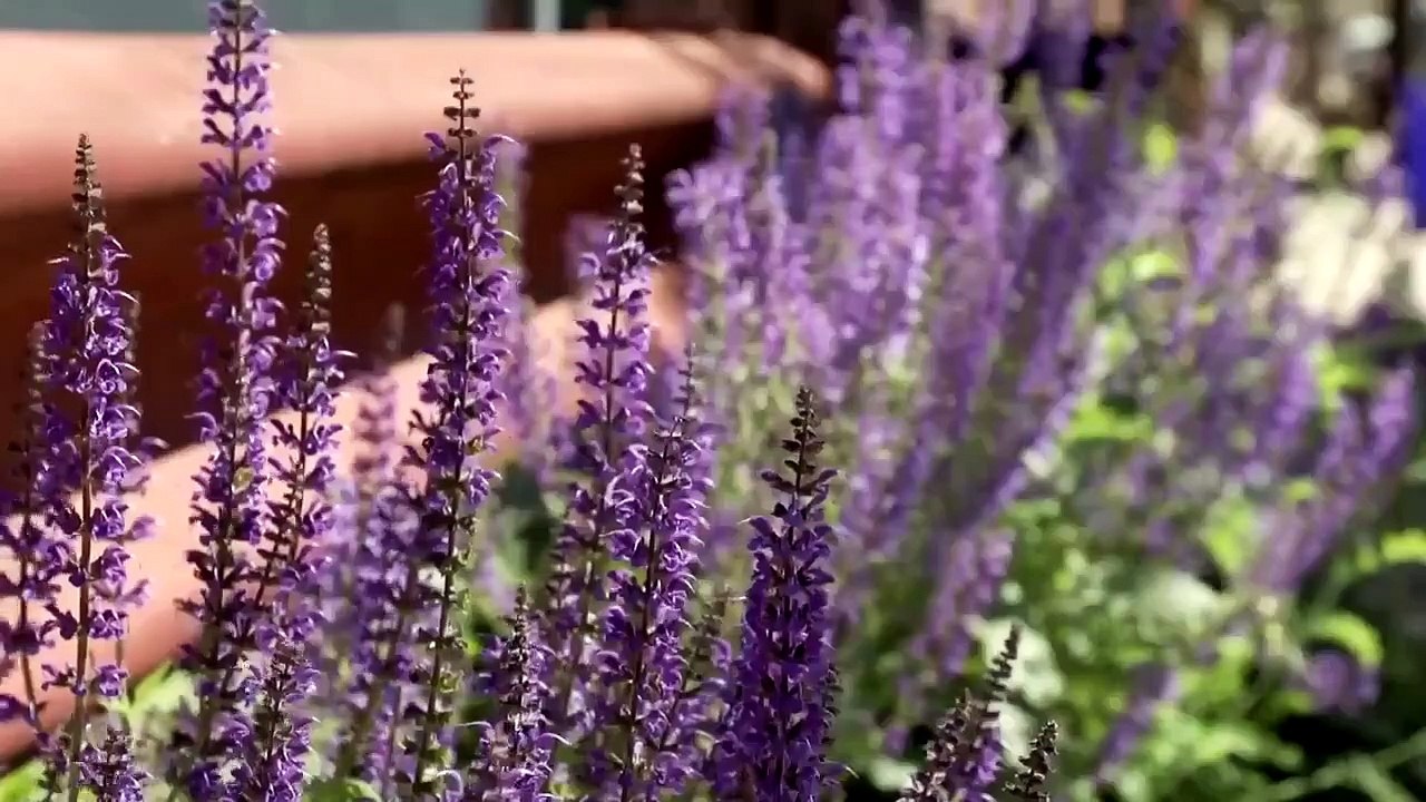 Restored by the Fords - Se2 - Ep11 - Storybook Cottage HD Watch