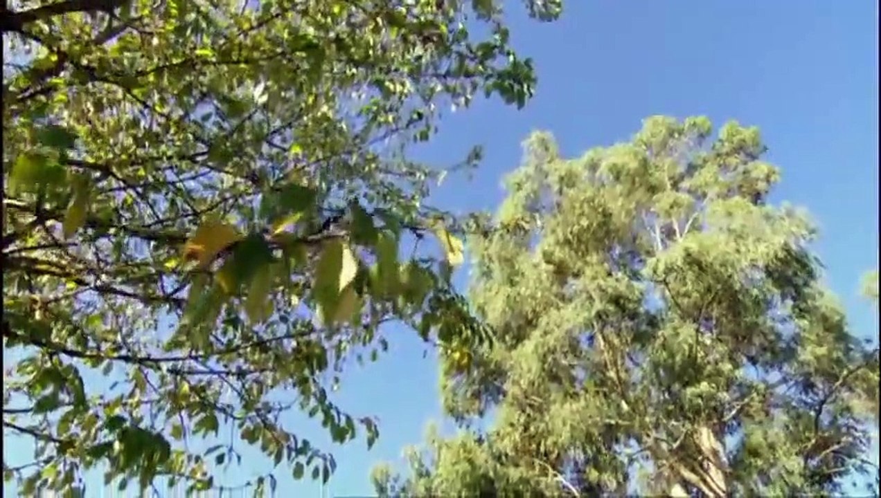 The Only Way Is Essex - Se18 - Ep09 HD Watch