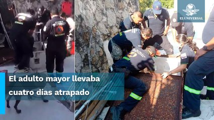 Heroína de cuatro patitas; perrita “Carey” rescata a adulto mayor atrapado en una cisterna