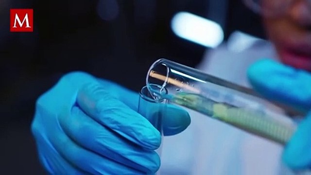 Excremento de ballena fertiliza los océanos, revelan científicos