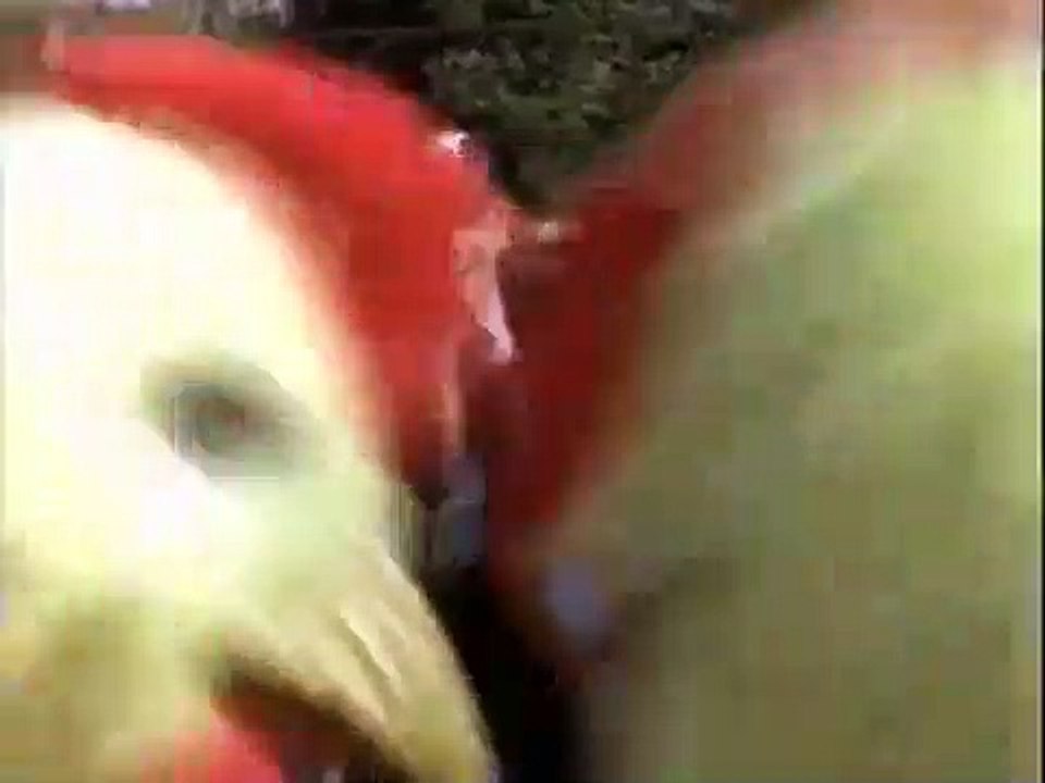 The Commish - Se1 - Ep22 HD Watch