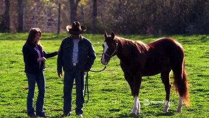 The Lying Game - Se1 - Ep17 - No Country For Young Love HD Watch