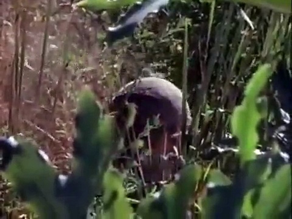 Tour of Duty - Se2 - Ep03 - For What It's Worth HD Watch