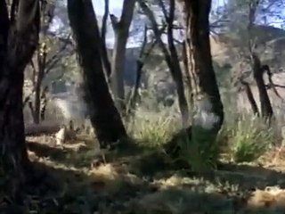 Tour of Duty - Se2 - Ep04 - True Grit HD Watch