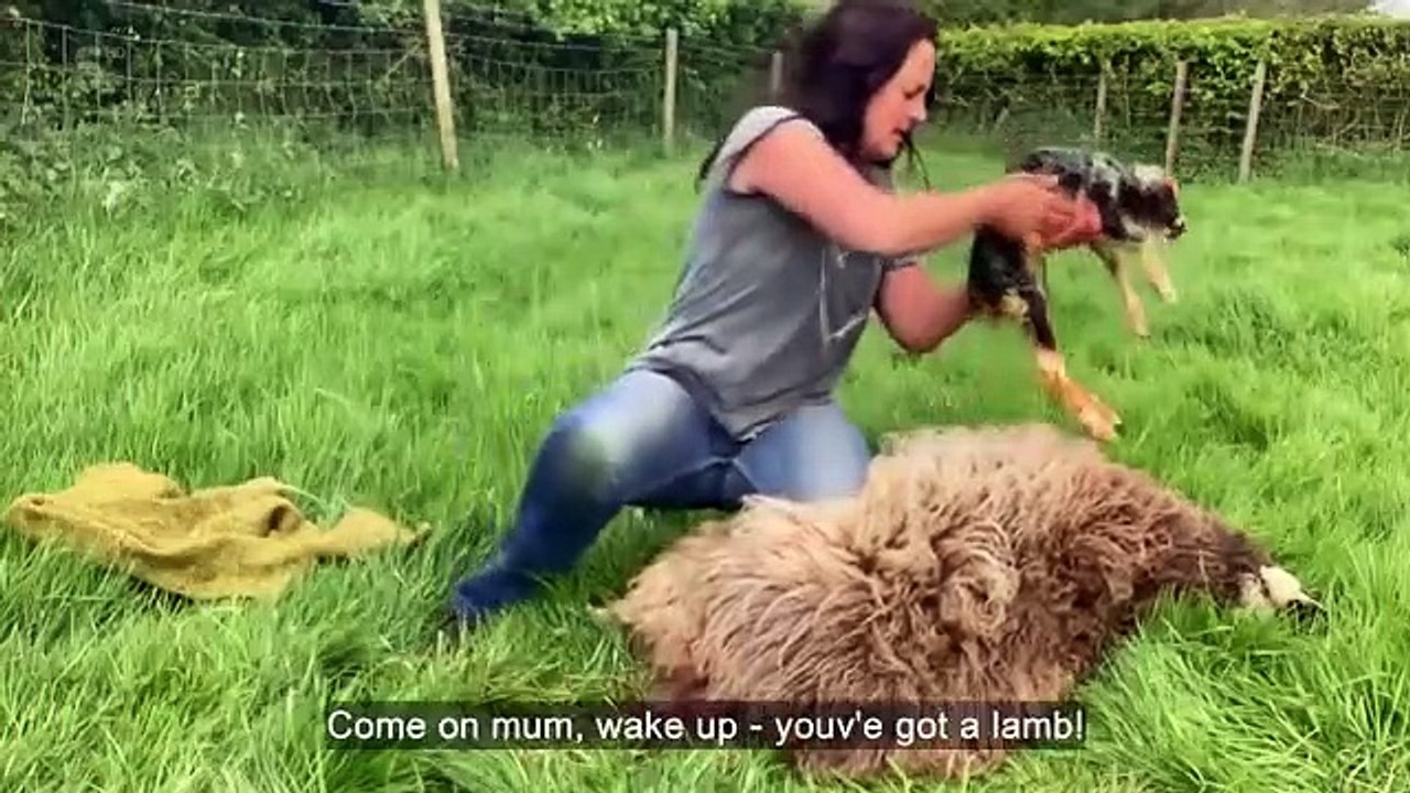 This Week on the Farm - Se1 - Ep03 HD Watch