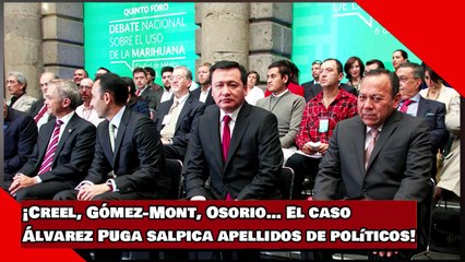 ¡Creel, Gómez-Mont, Osorio… El caso Álvarez Puga salpica apellidos de políticos!