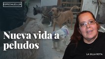 Nueva vida a  peludos