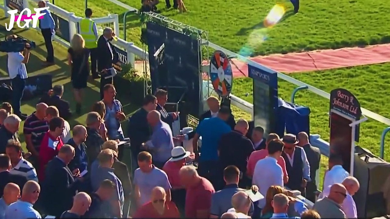 Greyhound racing dog 2023 - Track race || Dogs Day