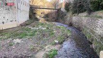 Sécheresse : la situation préoccupante dans les Bouches-du-Rhône pour un mois de février