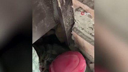 Azerbaycanlı ekip 50 yaşındaki kadını 120. saatte enkazdan sağ çıkardı