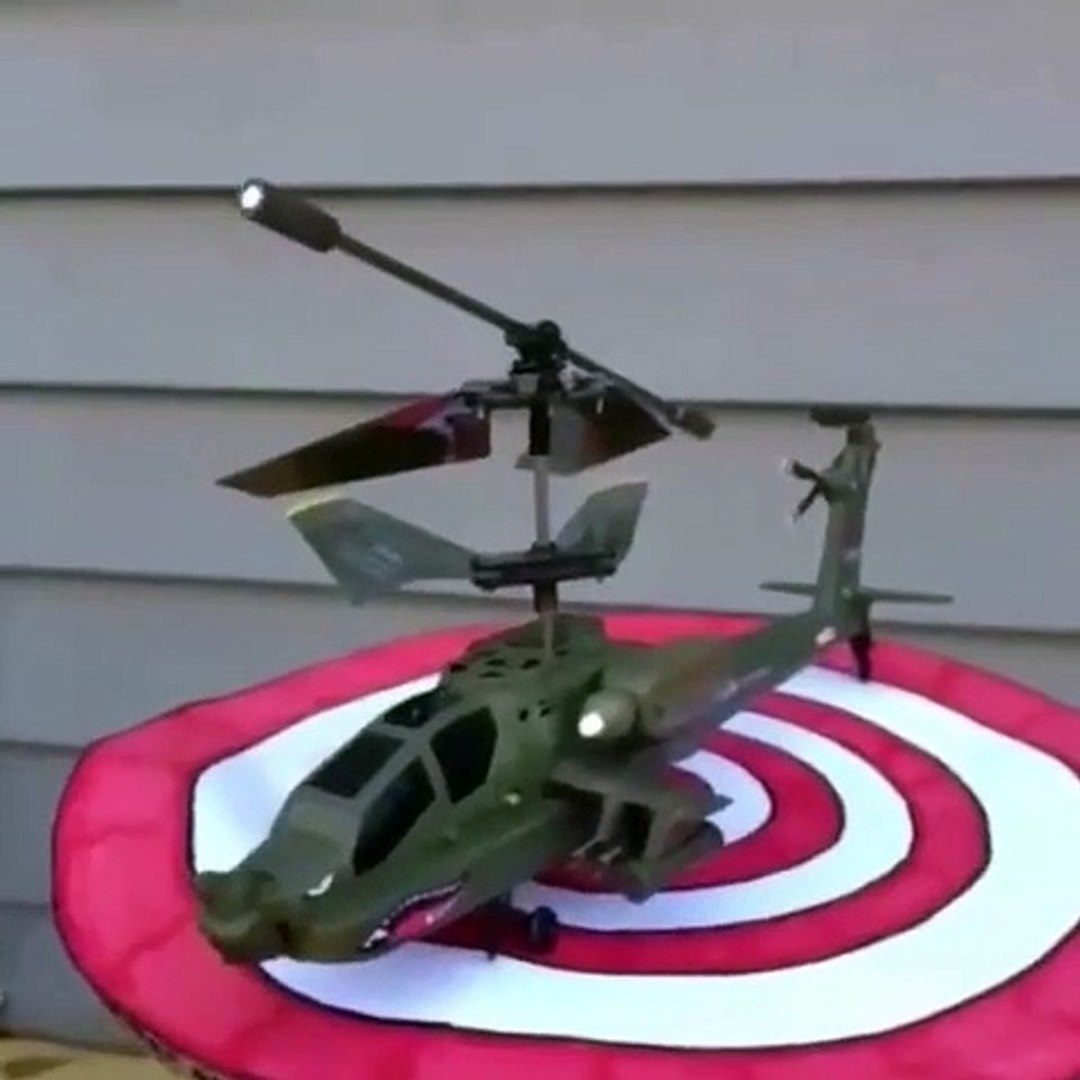 Animal funny moments