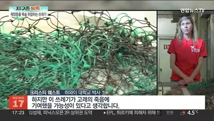[지구촌톡톡] "미안해 고래야"…54t 고래 배 안에 쓰레기 가득