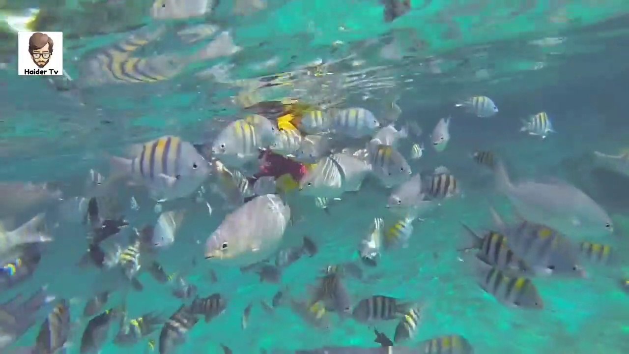 10 Unusual Things Found On Beaches _