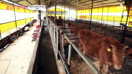 홀로 된지 4년! 친정어머니와 함께 사는 오늘의 ✿꽃길 주인공✿ 등장