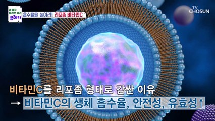 세포처럼 침투해 체내 흡수율을 높인 『 리포좀 비타민C 』 TV CHOSUN 20230212 방송