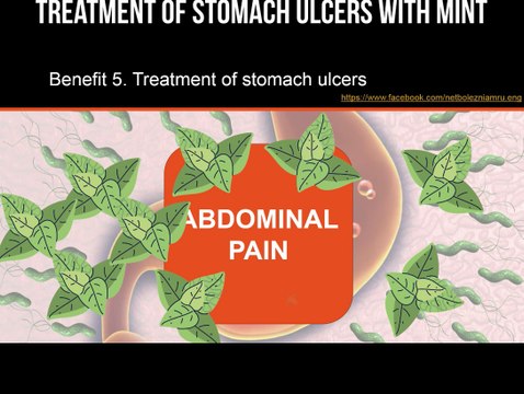 Treatment of stomach ulcers with mint