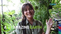 Amazing Earth: Bea Alonzo's top three must-visit locations in the Philippines