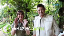 Amazing Earth: Bea Alonzo joins Dingdong Dantes in Amazing Earth!