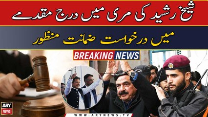 Download Video: Judicial magistrate approves Sheikh Rasheed's bail plea