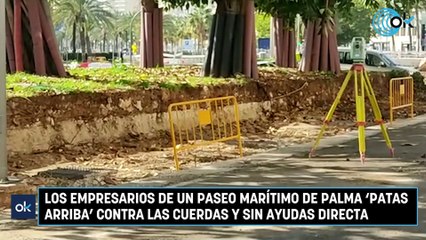 Los empresarios de un Paseo Marítimo de Palma 'patas arriba' contra las cuerdas y sin ayudas directa