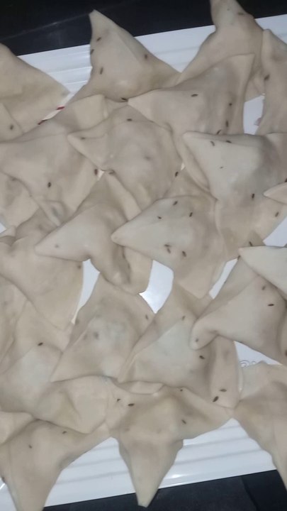 Frozen Samosas #shorts
