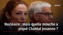 Nucléaire : mais quelle mouche a piqué Chantal Jouanno ?