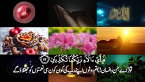 Surah Rahman With Urdu Translation _ Surah Rahman Beautiful Voice _ Surah Rahman Ki Tilawat