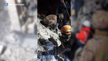 Nuevo milagro en Turquía: infantes de Marina españoles rescatan a un niño de 7 años bajo los escombros