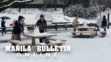 Tokyo blanketed in snow