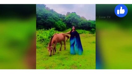  इन जानवरों के कारनामे देख हंसी नहीं रुकेगी | Animal funniest moment caught on camera